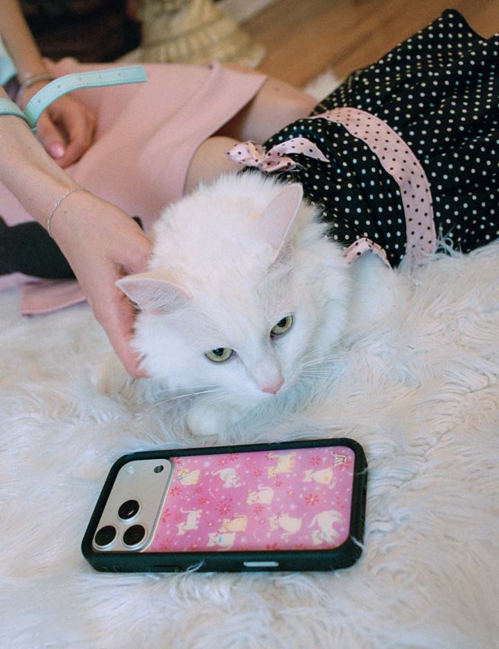 Claire Drake iPhone 18 Pro Max Case