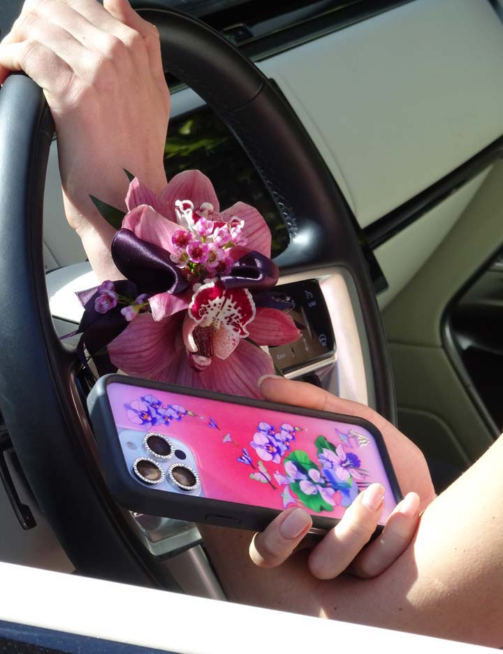 Butterfly Dreams iPhone 18 Pro Max Case