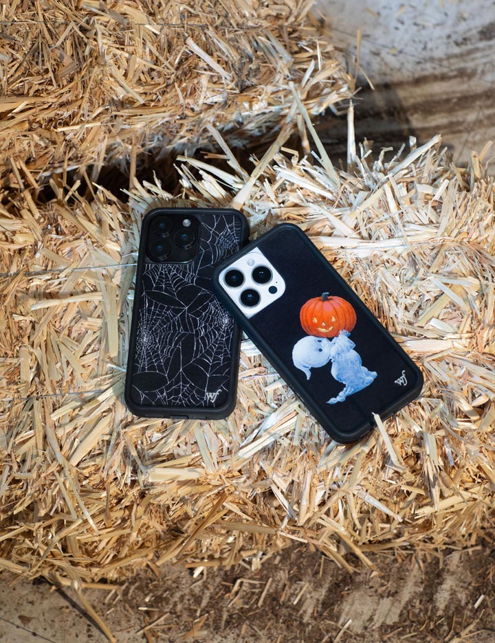 Boo iPhone 17 Case
